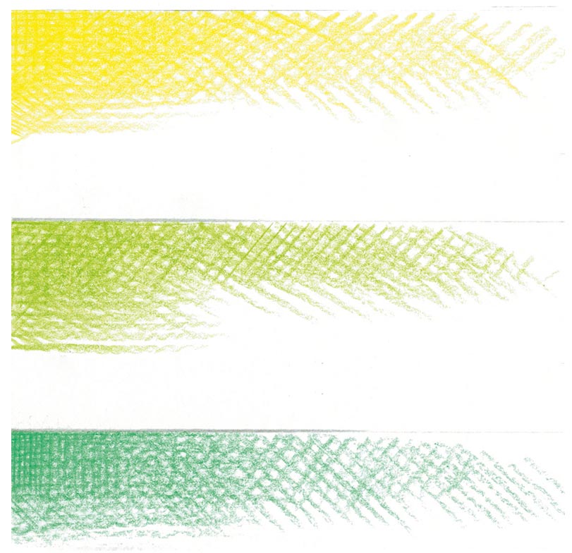 CARIOCA PLUS - Lápices de Colores 4.0